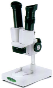 Stereomicroscopio