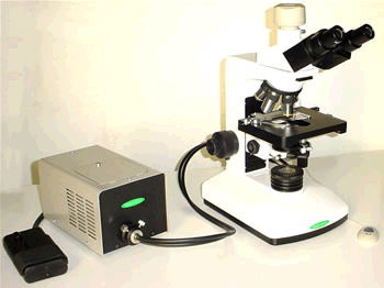 Illuminatore a fibre ottiche industriale su microscopio stereoscopico