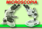 microscopia