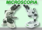 Sezione Microscopia