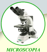 Microscopia, microscopi Biologici, Microscopi Stereoscopici e da ricerca, fibre ottiche e illuminazione a luce fredda