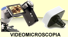 Videomicroscopia, Videocamere e Fotocamere per Miscoscopi